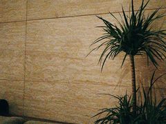 -villaa·别墅·融合菜西餐厅