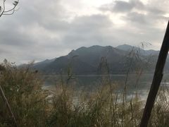 -羚羊峡古栈道森林公园