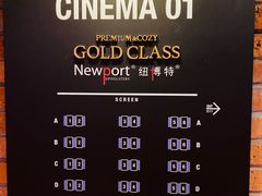 -CGV影城(壹方城IMAX店)