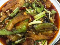-龙小海荆沙鸽子店(瑞安街店)