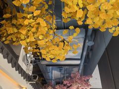 -食悦江南·淮扬菜·烤鸭(亚运村·惠新店)