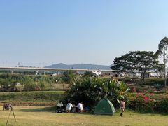 -光明小镇欢乐田园