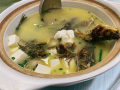 昂刺鱼豆腐汤-状元楼(金溪路店)
