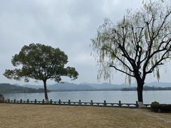 -杭州西湖柳莺里酒店·闻莺厅