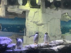 -华夏文旅西安度假区