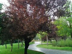 android_upload_pic-河南师范大学(主校区)