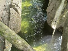 -青青世界