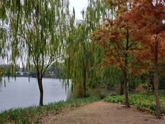 -杭州城北体育公园