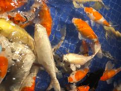-昆明大悦城未来动物城(螺蛳湾中心店)