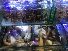 -岳各庄批发市场(西四环中路店)