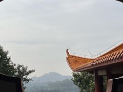 -深圳仙湖植物园
