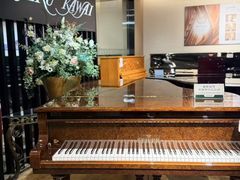 -柏斯音乐艺术中心·钢琴·吉他(上音店)