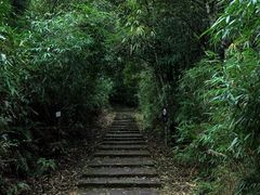 -海南热带雨林国家公园吊罗山景区