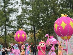 -黄海国家森林公园