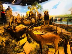 -陕西自然博物馆