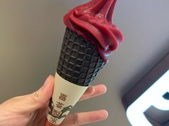 冰山杨梅脆筒-喜茶(北京华贸购物中心店)