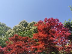 -白鹭园