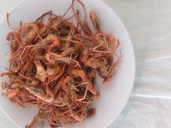 -庆岭迎宾园正宗活鱼馆