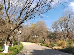 -西湖风景区-江洋畈生态公园