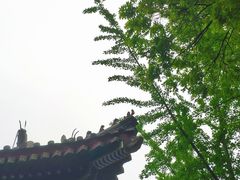 -湛山寺