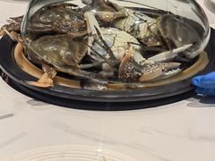 -77号渔船·蒸海鲜青岛菜(积米崖店)