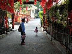 -观澜山水田园