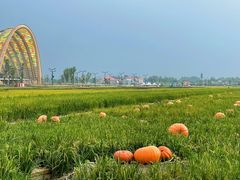 -中国天府农业博览园