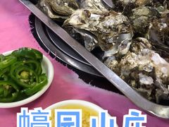 生蚝-蠔园山庄(礼乐食街店)