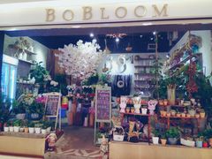 -BOBLOOM花店(宝龙旭辉广场店)