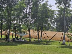 -青龙湖公园