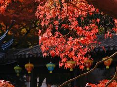 -惠山古镇·寄畅园