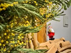 -COTTON CAFE(德信·中外公寓店)