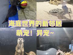 -太平洋海底世界