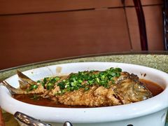-老雒阳面馆·水席·洛阳菜(纱厂路店)