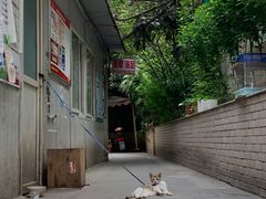 -素椒杂酱面(油篓街店)