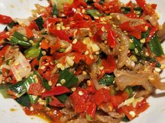 -壹盏灯(惠农店)