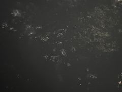 -黄瓜箐温泉疗养院