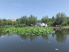 -前关湿地公园