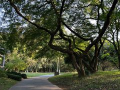 -杭州植物园