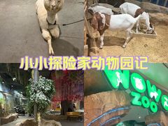-成都动物园