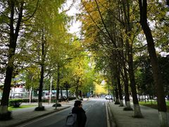 -四川大学(望江校区)