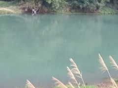 -寒岩夕照农家乐