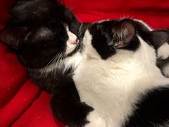 -么么咖啡(燕郊店)