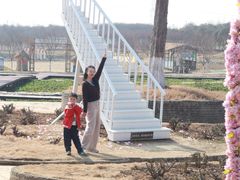 -武汉紫薇都市田园