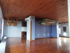 -金山农民画村-枫泾波兰倒置屋