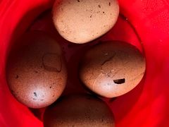 -孟记粥铺·家常菜·烧烤·粥(亚运村店)