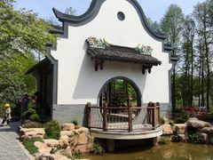 -东平国家森林公园
