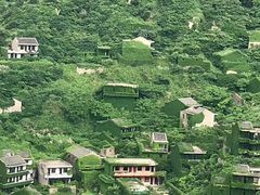 -枸杞岛