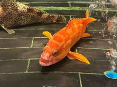 -新荣记(新源南路店)