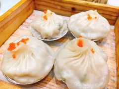 -鹅城